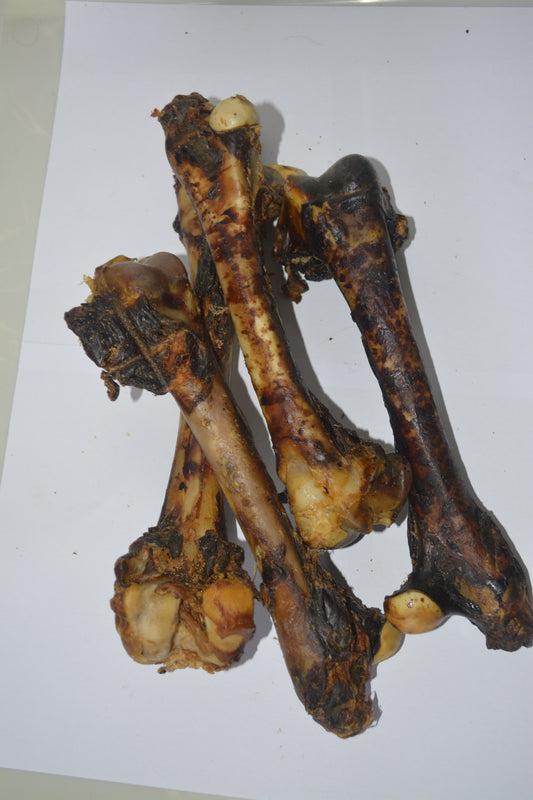 Kangaroo Bone