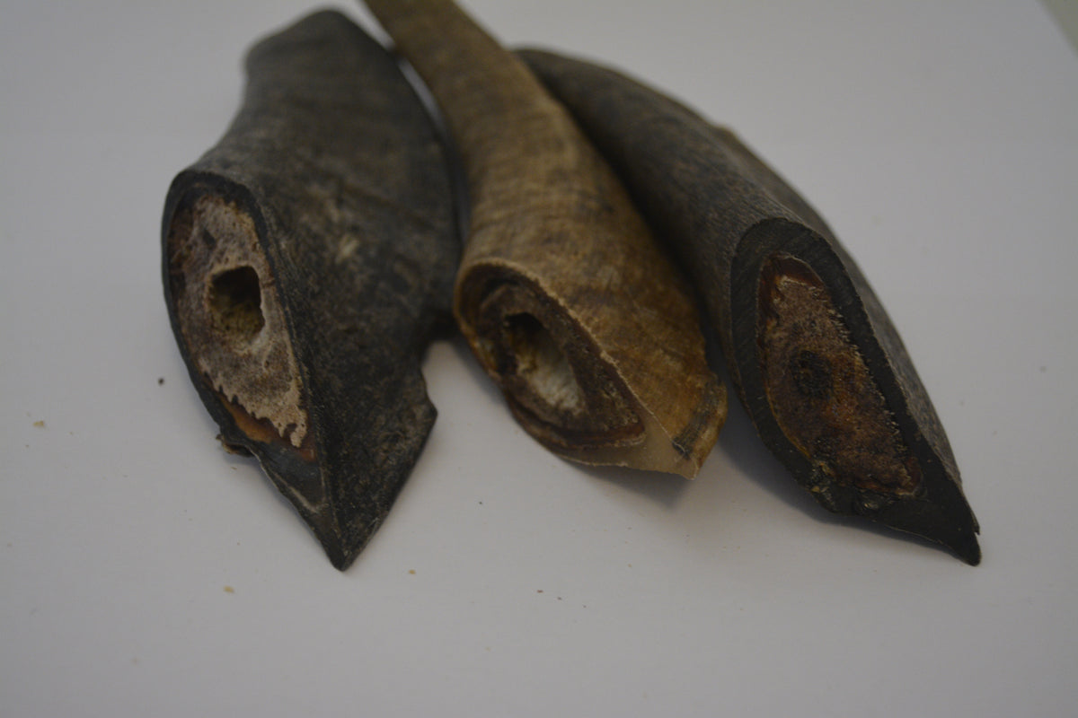 Goat Horns Large
