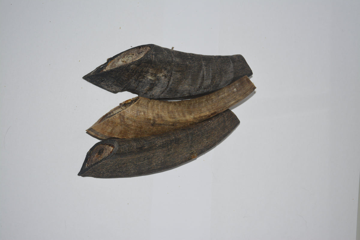 Goat Horns Regular